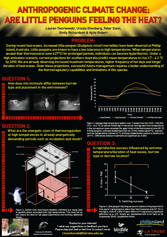 Screen Shot 2018-06-29 at 4.43.48 pm